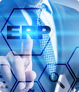 ERP Expert Witness